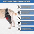 thumbnail image 3 of Rodillera para perros Yuxing de neopreno transpirable para ligamento cruzado anterior, 3 of 5