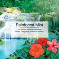 thumbnail image 4 of Little Trees Auto Air Freshener, Hanging Card, Rainforest Mist Fragrance 3-Pack, 4 of 9