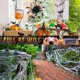 thumbnail image 4 of Araña de Halloween, araña gigante, casa embrujada de jardín, 3 flores de araña, envío aleatorio de 70cm TUNC Sencillez, 4 of 5