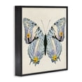 thumbnail image 3 of Stupell Industries Victorian Butterfly with Yellow Details Black Framed Giclee Art, 17 x 17, by Susan Arnot, 3 of 8