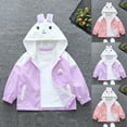 thumbnail image 5 of Gpaecead Toddler Boys Girls Windbreaker Casual Outerwear Kids Zip Hooded Jacket Baby Cute Coat Pink, 5 of 5