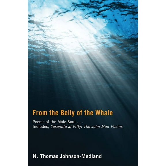 From the Belly of the Whale (Paperback)