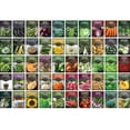 thumbnail image 3 of Vegetable Garden Seeds 50 Variety Collection - Non GMO Heirloom Tomato Seeds & More - Full Sun Annual, 3 of 10
