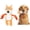 Orange, variant on Brown Monkey Squeaky Dog Toy – 9.8-Inch Plush Pet Toy with Pullable Rope Arms, Crinkle Paper, Soft Cotton Chew and Tug Toy for Small and Medium Dogs