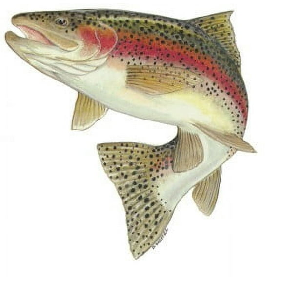 Fish Stix Freshwater Fish Rainbow Trout Wall Decal