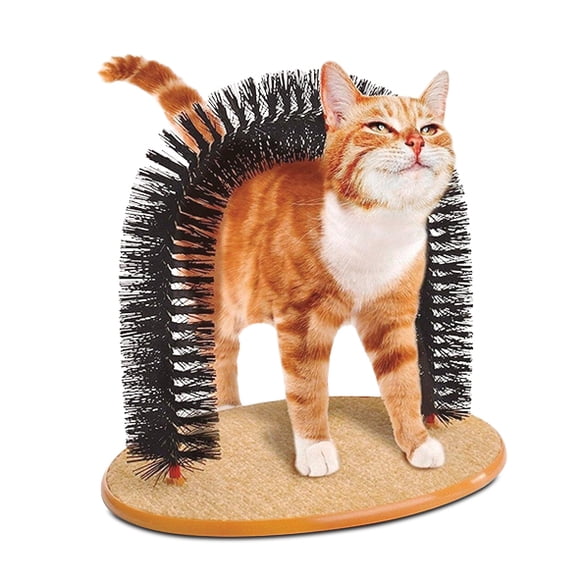Arco PARA GATO Kitten ARCO PARA GATO