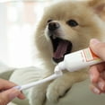 thumbnail image 3 of Frogued Pet Toothbrush Comfortable Grip Small Soft Bristles Effective Gentle Gum Care Lightweight Pet Cat Dog Oral Cleaning Tool for Daily Life (Blue), 3 of 13