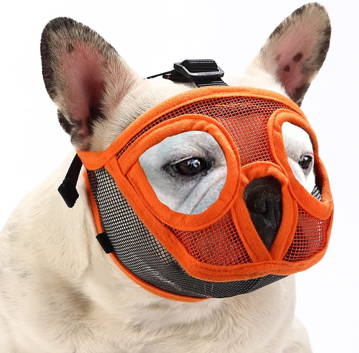 basket muzzle for shih tzu