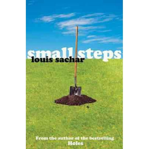 Small Steps (Holes, Bk. 2)