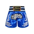 thumbnail image 6 of Hansber Kids Boys Boxing MMA Shorts Muay Thai Kickboxing Martial Arts Trunks Grappling Short Bottoms Blue L/160, 6 of 8