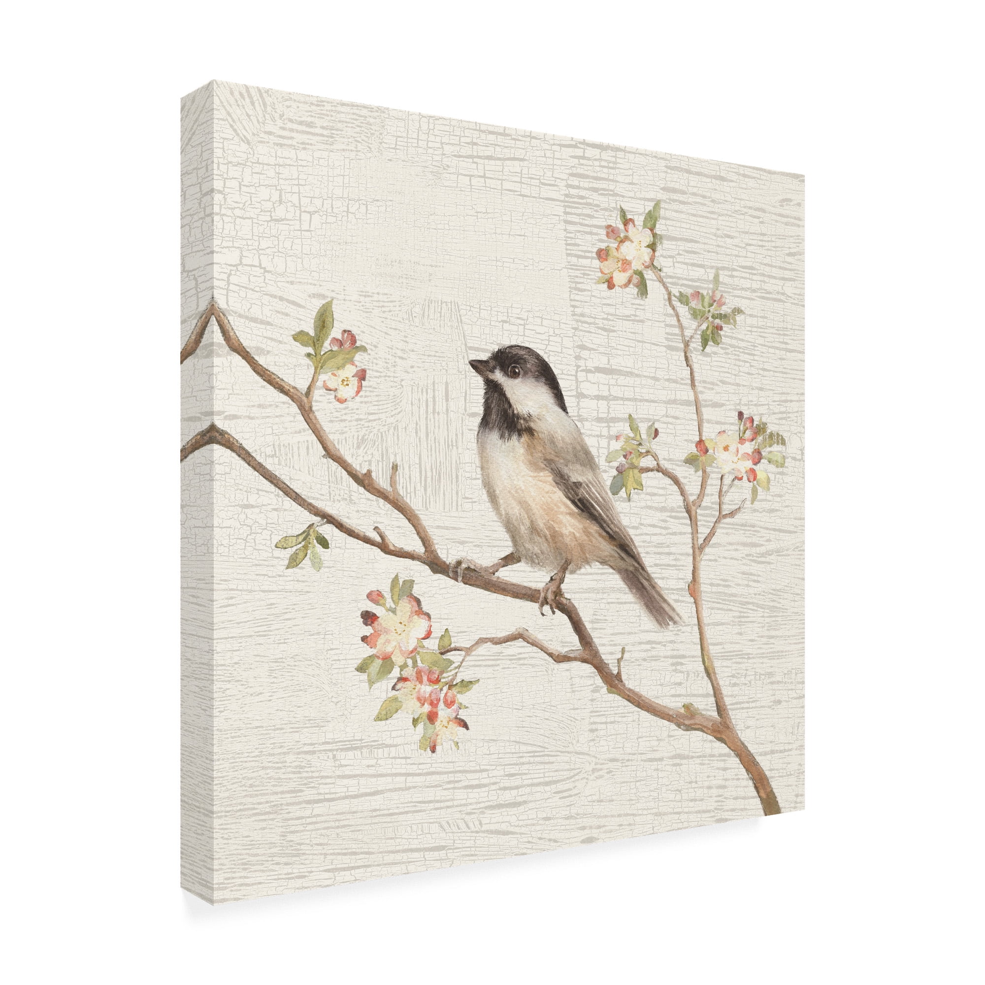 Trademark Fine Art 'Black Capped Chickadee Vintage Painting' Canvas Art by Danhui Nai