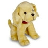 Biscuit Plush 11 Inch - Stuffed Animal by Kids Preferred (36001)