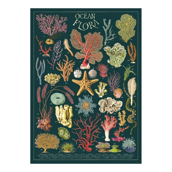 Cavallini & Co. Flore Océanale Papier Décoratif - 20x28 Feuilles