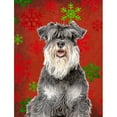 thumbnail image 1 of Caroline's Treasures Red and Green Snowflakes Holiday Christmas 2-Sided Garden Flag, 1 of 7