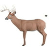 Rinehart Targets 120 Big Ten Buck Self Healing Archery Deer Hunting Target