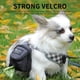 thumbnail image 1 of Dispensador portátil de bolsas para excrementos de perro con bolsillos | Soporte para bolsas de desechos de mascotas para exteriores, para correa o cinturón | Accesorio para mascotas ideal p, 1 of 2