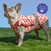 Oodles Summer Strawberries Dog Bikini, Pink, Small