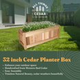 thumbnail image 2 of All Things Cedar PL30 Premium Cedar Box  Outdoor Planter - 32L x 11W x 12H, 2 of 9