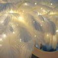 thumbnail image 3 of Lamp Metal Table Lamp LED Decorative Ostrich Feather Atmosphere Night Lights Bedside Lamps for Home Party Wedding Decoration Gifts for Dad Mom Wife Girlfriend Girls(White), 3 of 5