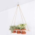 thumbnail image 5 of Colgador de techo para plantas ganchos metálicos para colgar campanas, luces, comederos para pájaros, etc. ganchos de decoración al aire libre JAMW Sencillez, 5 of 5