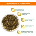 thumbnail image 5 of Organic Kombu Kelp Flakes - Young Baby Seaweed Grown in North Atlantic, Premium Quality Freeze-Dried for higher vitamin content. Soft Texture & Mild Taste. ½ tsp for daily vitamins. 60 Servi, 5 of 5