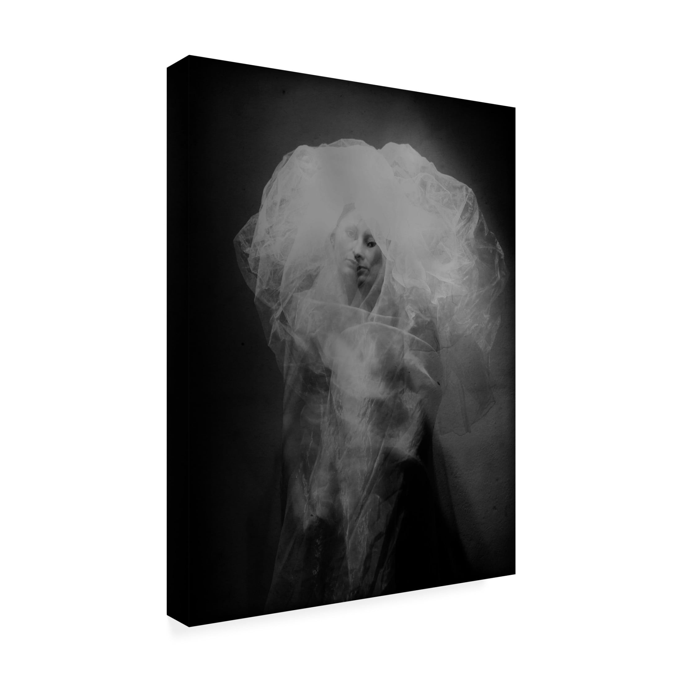 Canvas Wall Art - Yaroslav Vasiliev-Apostol 'Medusa' Wall Art for Living Room, Bedroom, or Office D?cor by Trademark Fine Art - 24 x 32 Inches