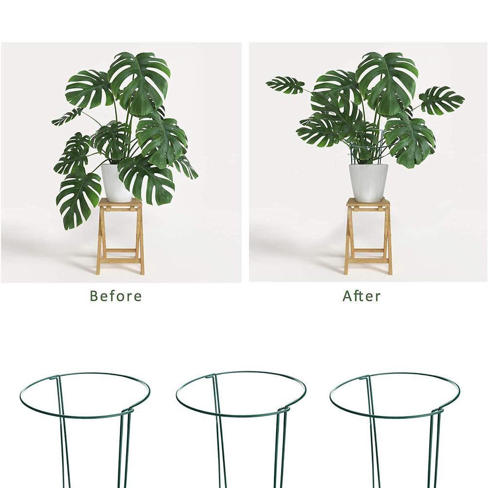 6 Pack Plant Support Stakes Ring Cage Metal Garden Plant Stake Plant Support Ring for Peony Tomato Vegetable Rose Flowers Vine