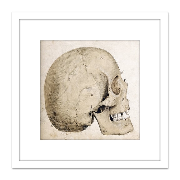 Landseer Human Skull Side View Anatomy Diagram 8X8 Inch Square Wooden Framed Wall Art Print Picture with Mount