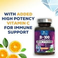B Complex Vitamins with Vitamin B1 B2 B3 B6 B12 B100 C & Folic Acid