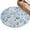 Blue, variant on 2x3ft Area Rug,Marine Life Ocean Shell Coral Starfish Washable Large Rugs Soft Non-Slip Floor Rug Vintage Wooden Plank Non-Shedding Indoor Carpets for Living Room Bedroom Home Office Nursery