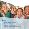 thumbnail image 5 of Superior Source Children's Iron 5 mg - Ferrous Fumarate Supplement for Kids - Iron Supplement for Cell Health & Development Support - Supplement Tablets for Toddlers - 100 Instant Dissolve Tablets, 5 of 8