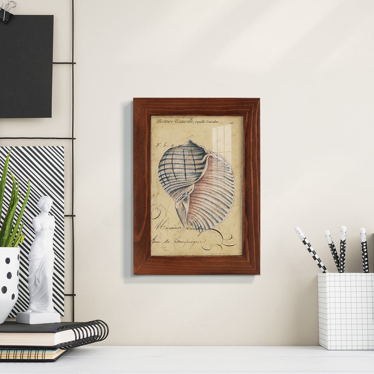 Seashell Ephemera V - Framed Print w/glass - Chestnut