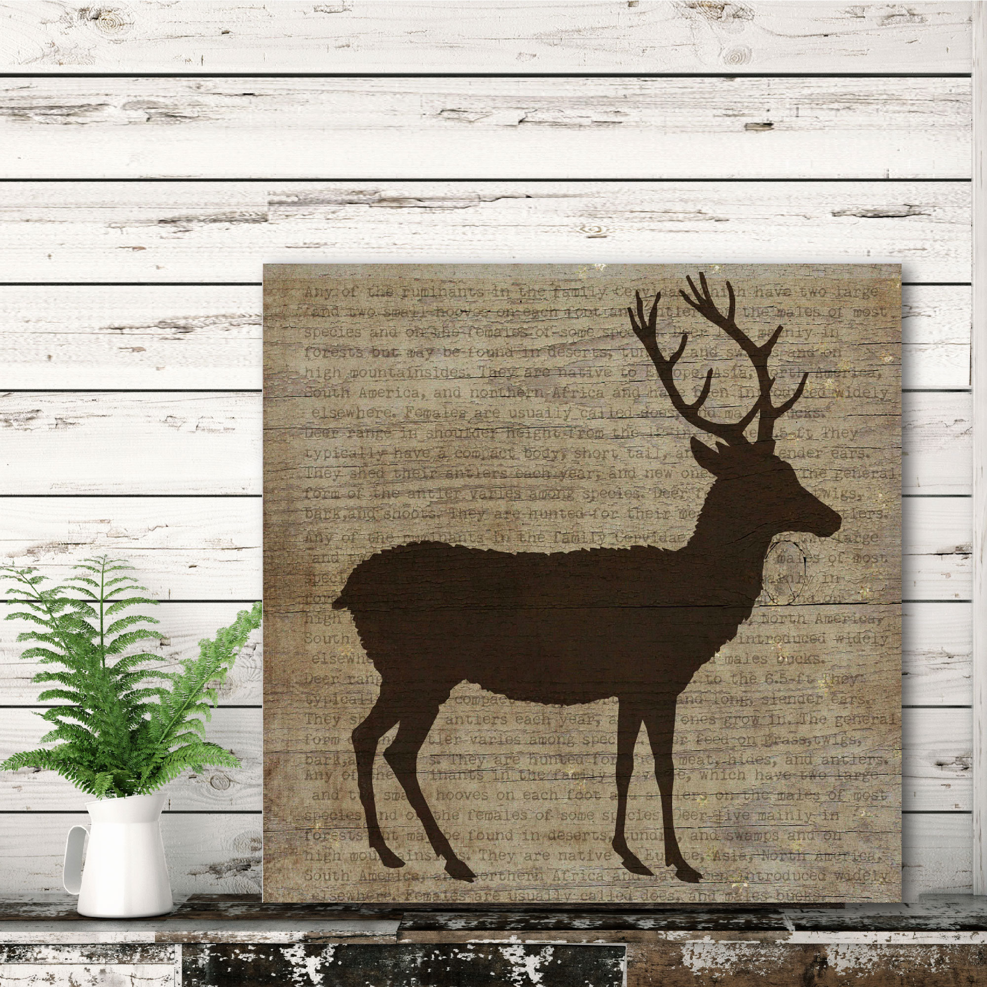Brown Buck Gallery-Wrapped Canvas Wall Art, 16x16