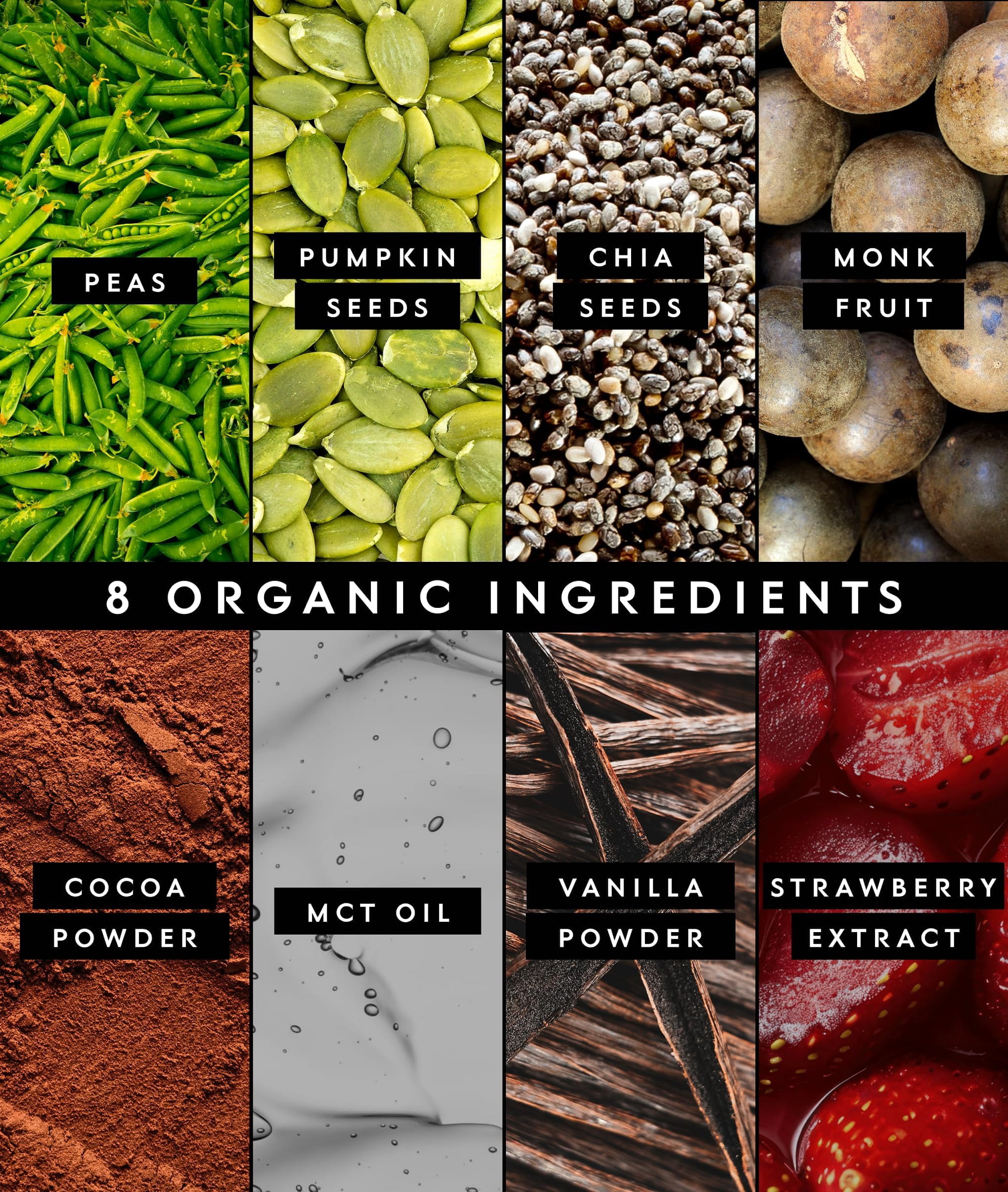 Truvani Vegan Pea Protein Powder | Chocolate Strawberry | 20g Organic Plant Based Protein | 12 Travel Packets | Keto | Gluten & Dairy Free | Low Carb | No Added Sugar