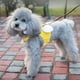 thumbnail image 2 of Greeniant Cute Bee Traction Stylish Walking Dog Traction Cat Bracelet Sturdy Adventures Rope Outdoor Yellow Handle Soft With Suministros para perros Estilo de ala de rejilla L, 2 of 6