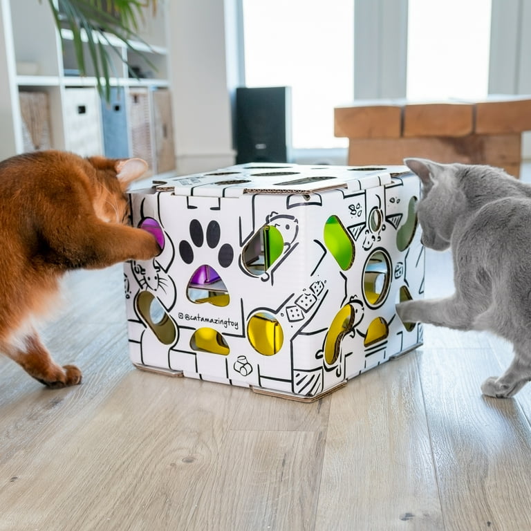 CAT AMAZING Interactive Treat Maze & Puzzle Cat Toy 