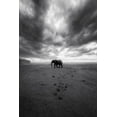thumbnail image 2 of Swapnil 17x24 Gold Ornate Wood Framed with Double Matting Museum Art Print Titled - Amboseli, 2 of 4