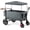 Gray, variant on EVER ADVANCED Side-Unzip Folding Wagon Stroller for 2 Kids with Canopy, Push and Pull Baby Wagon for Toddler with 5-Point Harness and Allterrain Wheels, Grey