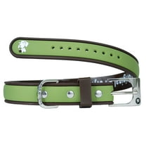 Dublin Dog Waterproof Dog Collar, Small 9 inches - 14 inches, Olive Brown
