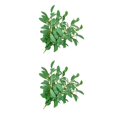 thumbnail image 4 of Bewildely 10 piezas de ramas de hojas artificiales, ramas de plantas de simulación, ceremonia de boda, Festival, accesorios de decoración interior para Verde 2piezas Bewildely CBP134024, 4 of 5