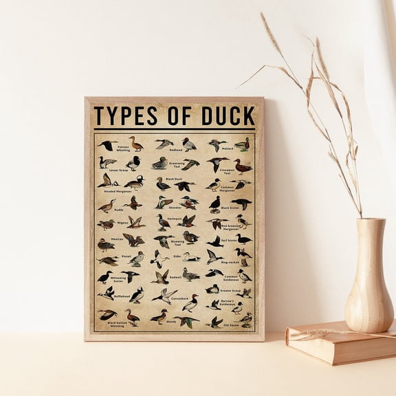 Types Of Duck Poster, Vintage Knowledge, Duck Lover , Duck Of The World, Duck Vintage, Duck, Farmhouse Decor, Duck Print, Unframed Poster Size 8x12 F03.1.15l740