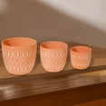 thumbnail image 2 of Maison Concepts Ceramic Round Planters Clayton Set Of 3 (6.65L X 6.65W X 5.85H), 2 of 3