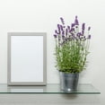 thumbnail image 3 of Dulles Glass 6" x 30" Rectangle Floating Glass Shelf - Shelf Only - Tempered - 3/8" Thick - Flat Polished, 3 of 7