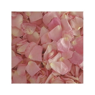 Valentine Red Preserved Freeze Dried Real Rose Petals