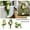 5171, variant on HAVELOR Garden Frog Statue, 4.5x4.5 in, UV-Resistant Resin, Weatherproof Outdoor Decor for Patio or Flower Bed(5172,1pcs)