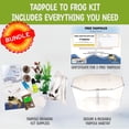 thumbnail image 2 of Kit de inicio Tadpole to Frog Nature Gift Store con 2 renacuajos, 2 of 9