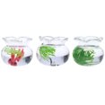 thumbnail image 1 of 3 Pcs Bol à Poisson Miniature Mini Maison Aquarium Modèles Aquarium en Verre, 1 of 8