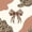 Tan White, variant on Erosebridal Pink Leopard Satin Bow Twin Quilt Set for Girls, Girly Cheetah Animal Print Twin Coverlet Set, 2 Pieces 1 Bedspread and 1 Pillowcase