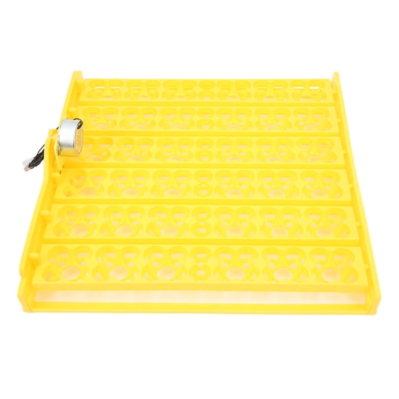 Accesorios para incubadoras de huevos, 156 piezas Bandeja de incubación de huevos completamente automática Bandeja de incubadora de huevos de plástico Funcionalidad de alta precisión Jadeshay A