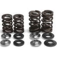 thumbnail image 2 of Engine Spring Kit, 2 of 2